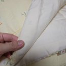 장학어린이집 노동조합 | 포몽드 낮잠이불 3월 어린이집 준비 완료 🤍 앨리스가든·오리봉봉 내돈내산 후기