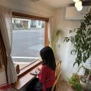 세모집 제주 | [제주 동쪽 맛집] 세모