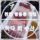 여기는바다회 이미지