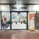 리얼독스쇼룸 | 드디어 일산 강아지분양 전문샵 리얼독스에서 새 가족 만나다