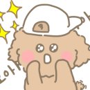 피프티피티 이미지