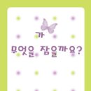 땡대이 이미지