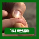 손에발에
