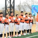 향남 야구장 야구장 이미지