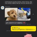 쉐이크테일