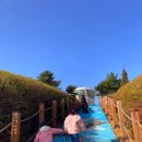 서산버드랜드 전시관(1층) 이미지