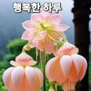 🐣말복(末伏)에 들어보는 '닭의 노래~♬'🐥 이미지