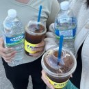제주도게스트하우스파티틴더타운