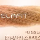 태광속옷 뉴스1