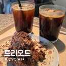 그람 | 강남역 디저트 카페 트리오드 주말 웨이팅과 초코 케익그람 솔직후기