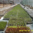 성림농장 이미지