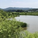 죽정습지 이미지