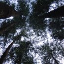 김용사 야영장 이미지