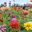 황어장터 화장실 이미지