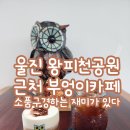 울진카인테리어 | 울진 왕피천공원 근처 카페 특이한 부엉이카페 추천