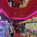 라라랜드(영통점) 이미지