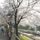 덕풍천서로 이미지