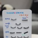 바네사아이래쉬