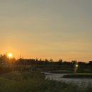 강아지맛집 이미지