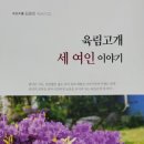 김광창 회원님 신간 육림고개 세 여인 이야기 이미지