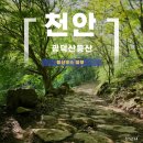 율사랑 | 여름에 오르기 좋은 산 추천 천안 광덕산 등산 후기