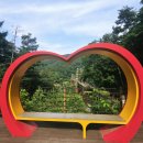 스타벅스 충북증평점 | (증평) 여행 가볼만한곳 자연을 만끽하기 좋은 좌구산휴양림 명상구름다리