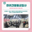 보람애견미용 이미지