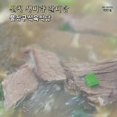 물장구식육식당 | 산청 생비량 맛집 물장구 식육식당, 갈비탕 한 그릇이 든든했던 점심