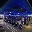 휘트니스 와이 이미지