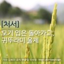 오늘은 여름이 지나고 가을을 맞는 절기 처서(處暑) 입니다 이미지