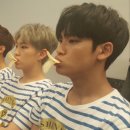 금손 Daum카페