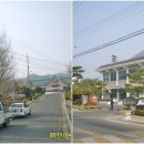 아포농협주유소 이미지