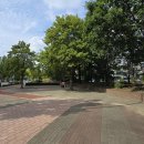 루킹타워 이미지