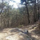 여미하다 이미지