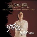 브레인아티스트 | KBS 불후의 명곡 아티스트 박정현편 서포트 후기