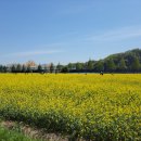 낙동제방 자전거도로 이미지