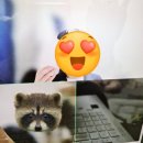 I AM PC | 초5영어 공부 꾸그 감정영어 후기보고 감정영어일기로 준비하세요 by에코한나