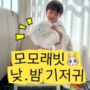 파란에코 | 모모래빗 에코씽씽 에코드라이썸머 후기｜여름 낮밤기저귀 추천 (통기성·흡수력 비교)