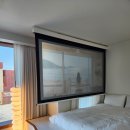 스테이디 이미지