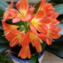 범어2동 제1경로당 이미지