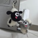 인형뽑기세상
