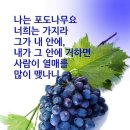 주님사랑교회 이미지