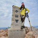 4월23일~수리역.군포철쭉동산.무성봉.수암봉.주차장10km5시간30분 이미지