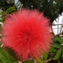 에이치디알 이미지