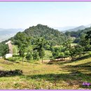 보은 삼년산성 이미지