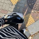 스쿨푸드광주상무 | 포레스텔라콘서트 그리고 롯데월드 올나잇파티