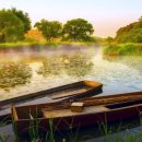 우포의 숲속 이미지