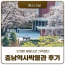 충청남도역사박물관 | 만개한 벚꽃으로 가득했던 공주 충청남도 역사박물관 후기