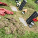 공설묘지 이미지