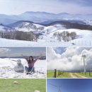 환영목장(2) 이미지